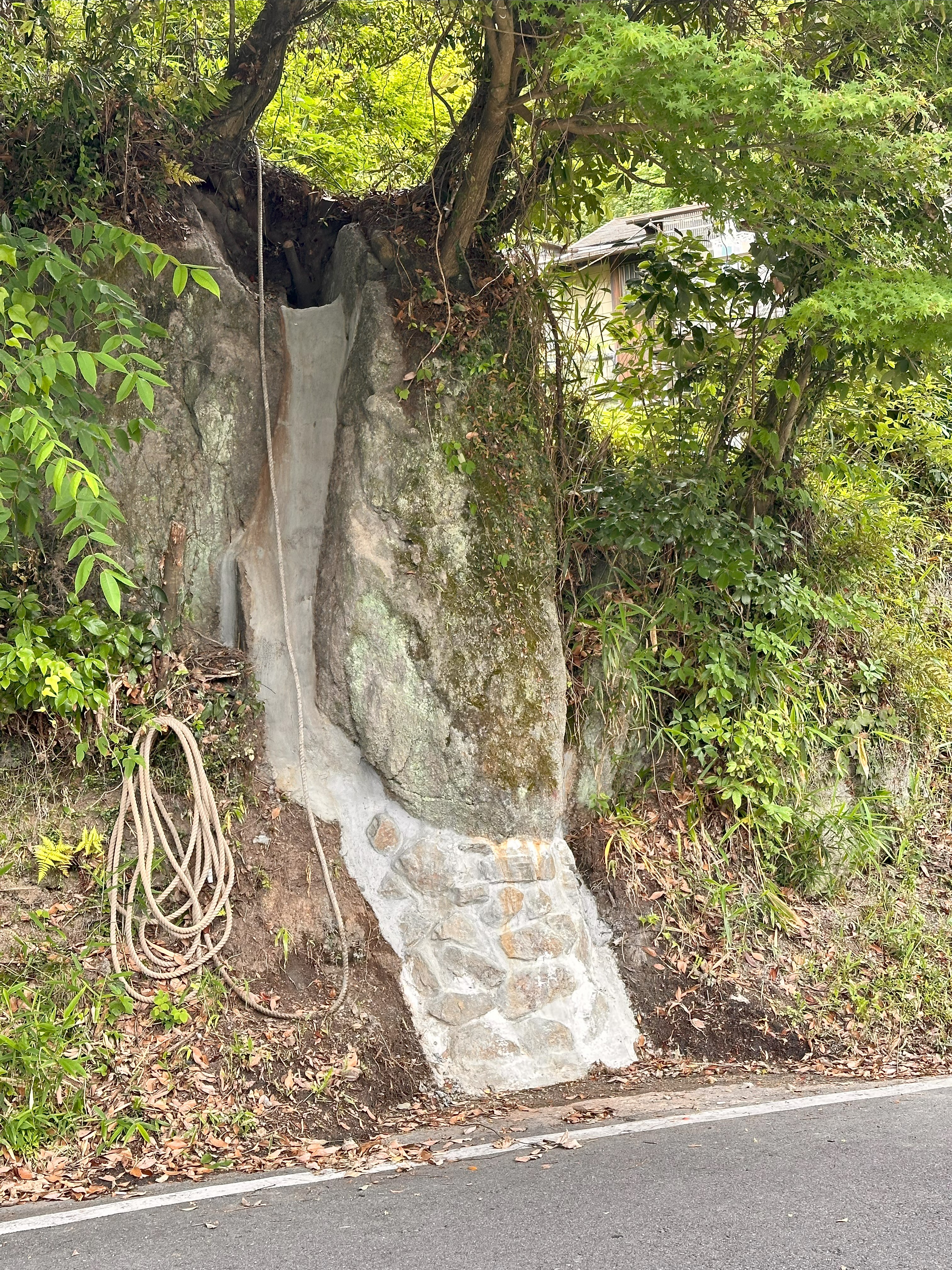 吹付目地工 岩盤接着